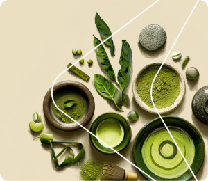 matcha learning technologies